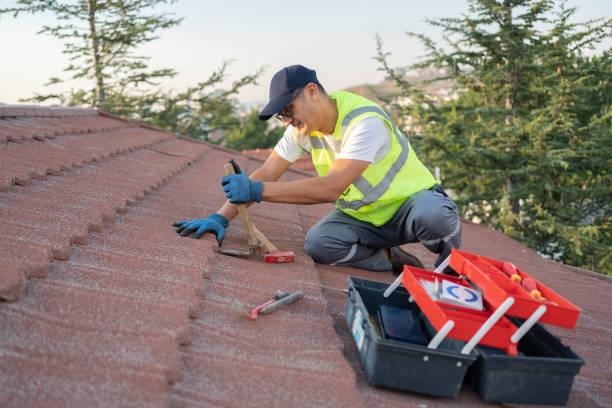 Best Flat Roof Repair Services  in Meridian, CO